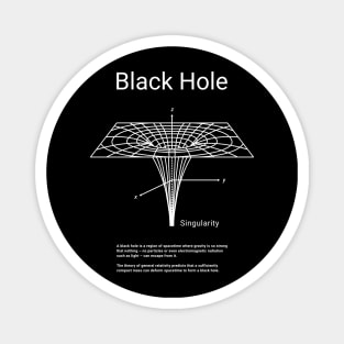 The Black Hole Magnet